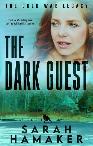 The Dark Guest Ebook Cover